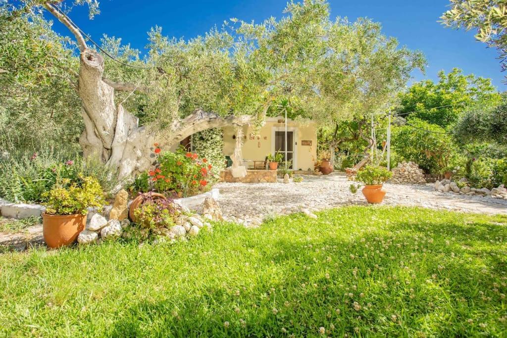 Anthia Private A Breath Away From Beaches *
